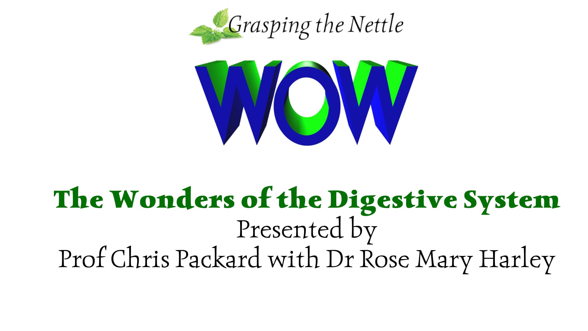 The Wonders of the Digestive System